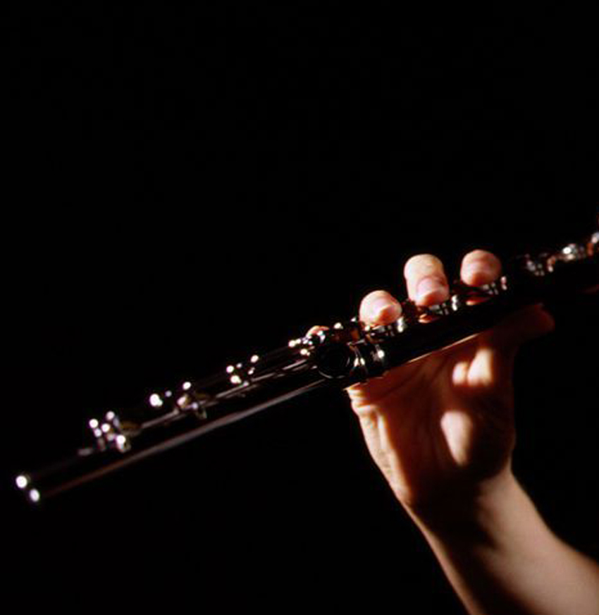 Conciertos de Inverno. Ciclo Música en la Capilla. 30/01/2019. La Nau. 19.30h